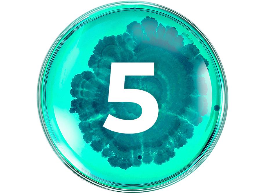 A petri dish filled with a teal-colored substance and intricate dark teal patterns has a large white number 5 printed in the center. The design is vibrant and visually striking.