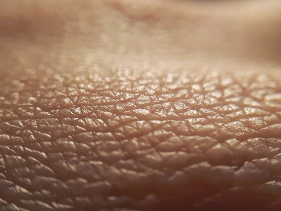 d4dcdfbc-2151-4f3e-a308-bf7b64e7f9cd Close-up image of textured human skin with fine lines and creases, showing the natural pattern and detail of the skin surface.